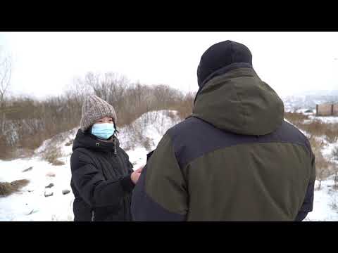 «Собачья работа». День со службой отлова