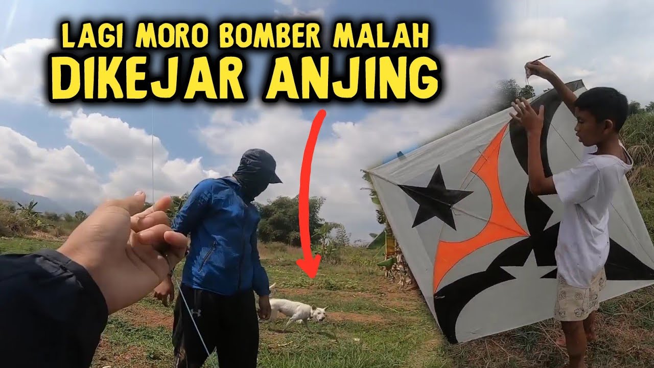 LAGI BERBURU LAYANGAN BOMBER MALAH DIKEJAR ANJING!!! MORO LAYANGAN (EPISODE #186)