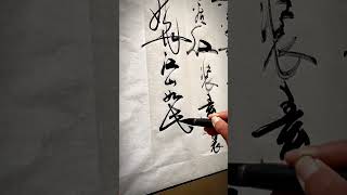 沁园春雪 书法作品