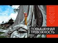 Причины и последствия повышенной тревожности. Как от нее избавиться. Тревога