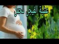 فوائد عشبة الفيجل العجيبة للحمل