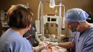 Methodist: The Meaning of Care -- Care Teams