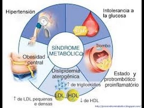 Sindrome metabolico tratamiento natural