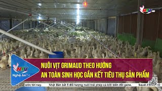 Nuôi vịt Grimaud theo hướng an toàn sinh học gắn kết tiêu thụ sản phẩm