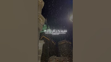 كل  من عليها فان  🤍 | سورة الرحمن [٢٦-٢٨] #قرآن #قران_كريم #ياسر_الدوسري