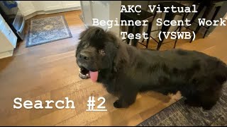 AKC Virtual Scent Work Test - Beginner (VSWB) - Search #2