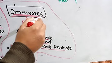 10th BIOLOGY,CH#16  (MAN AND HIS ENVIRONMENT),LEC#03,COMPONENTS OF ECOSYSTEM (PART 2)