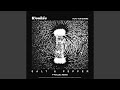 Salt Pepper P Rallel Remix mp3