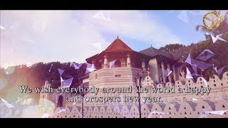 We wish everybody around the world a happy and prospers new year 2018 screenshot 5