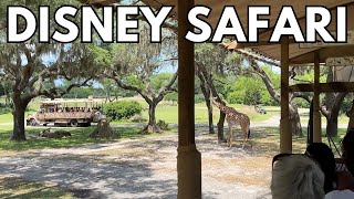 Disney's Animal Kingdom Kilimanjaro Safari FULL RIDE