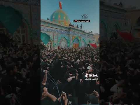 اليوم الحنينه حملت دخوليه مجتبى الكعبي تشيع زينب عليها السلام اليوم الحنينه حملت دخوليه مجتبى الكعبي تشيع زينب عليها السلام