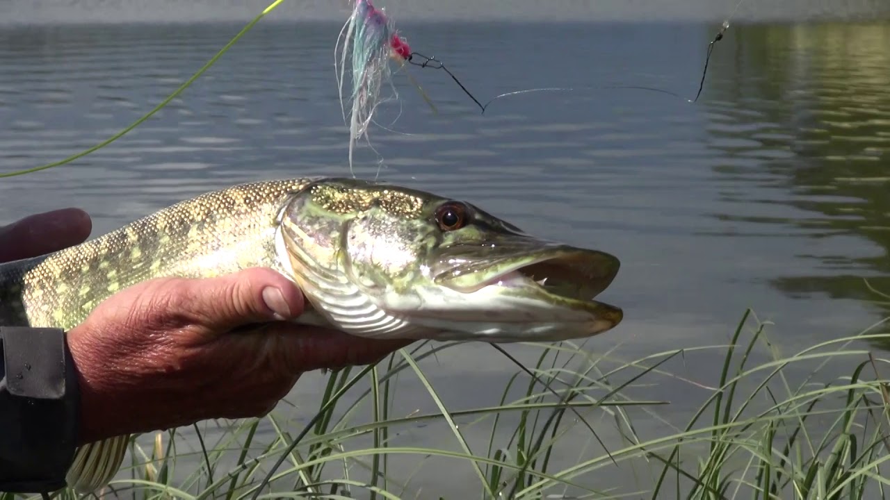 Leurre Souple Articulé Ryans Predator Flies – Leurre Poisson Brochet Pour Pêche En Rivière