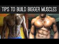 6 Tips for Building Muscle Mass| How to Build Bigger Muscles| BodyBuilding Tips!