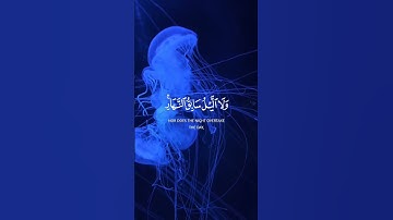 قران كريم بصوت جميل #قرآن #قران_كريم #دويتو #quran