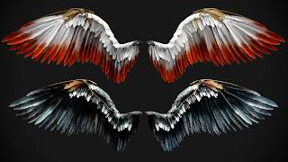 Animated Angel Wings 3d model