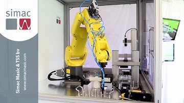 Robot 2D & 3D Inspection Cell Automated Machine Vision