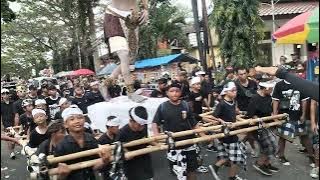 OGO OGO di karnaval genteng 2024