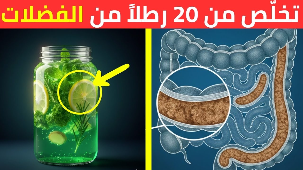 أفضل 5 زيوت لتنظيف الأمعاء والتخلص من الدهون العنيدة (جرّبها الليلة!)