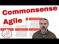 Commonsense Agile - an Agile Coach and Mentor Explains Agile Testing and Development