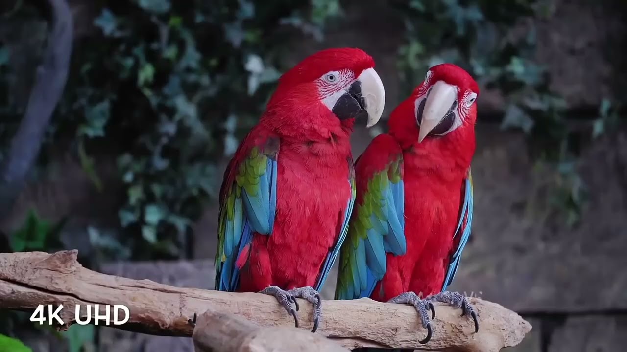 المليان مايقربعش .كلام من العقل الباطن و احلى تخربيشات فخري الرحماني