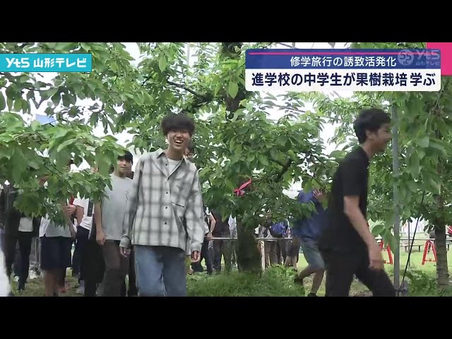 Junior high school students from Tokyo experience fruit