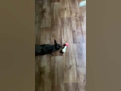 Тоби в деле)) - YouTube