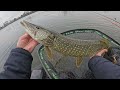 PÊCHER LE BROCHET AVANT LA FERMETURE, MA STRATÉGIE ? PONCER AU REPLICANT WOBBLE !