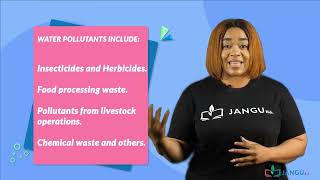 JSS 1 ENVIRONMENTAL POLLUTION 1