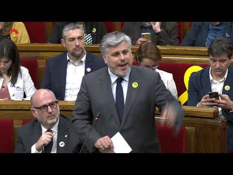 La bronca entre Quim Torra y Carlos Carrizosa (Cs) en el Parlament