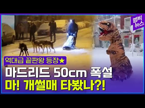 역대급 폭설 내린 스페인 근황.. ‘달려라! 개돌프 썰매야~’ 스키 점프, 설피 산책, 공룡 댄스까지!