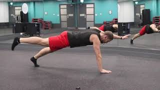 Sand Dragons (Alternating Arm & Leg Raise) - Patrick MoJo PT - Exercise Library