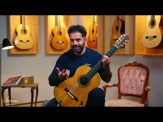 Lorenzo Frignani 2026 No. 274