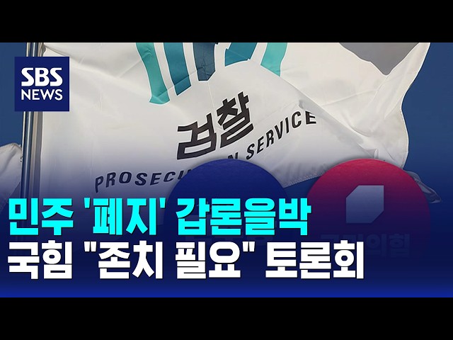 민주 '폐지' 갑론을박..국힘 "존치 필요" 토론회 / SBS 오뉴스