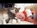 SLEEPY CATS, DOGS and BABIES are so FUNNY! - LAUGHING guaranteed, must watch!