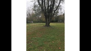 Homes for sale - 4444 Caroline Avenue, Indianapolis, IN 46205