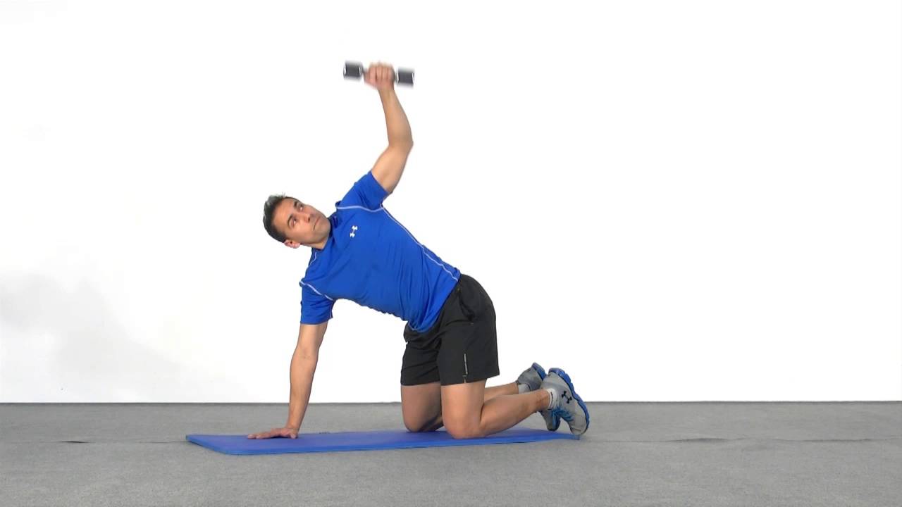 Abducción horizontal en cuadrupedia con mancuerna http://sportlife.com.co