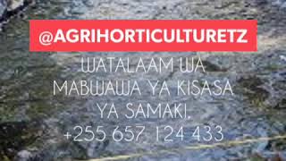 Pata Mafunzo Ya Ufugaji Samaki,Na Uji Ajiri Mwenyewe , Huhitaji Kua Na Mtaji Mkubwa Kuanzisha.