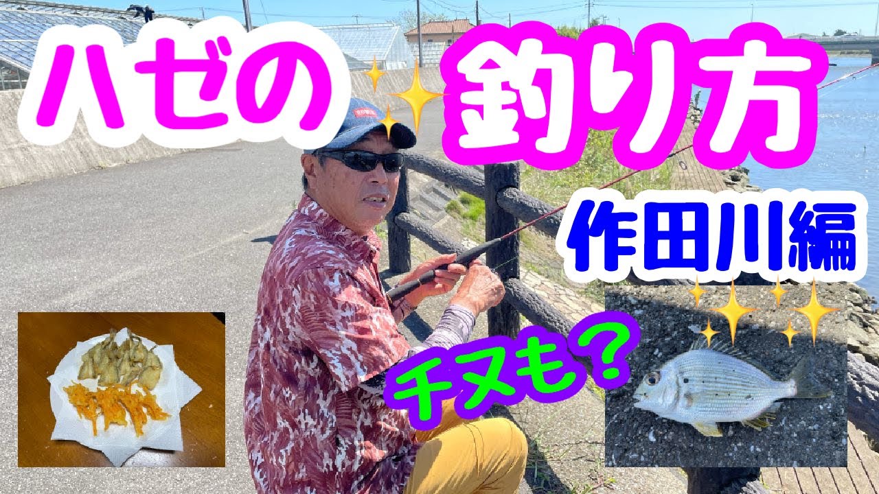 ハゼの釣り方 作田川 この時期は難しい Youtube