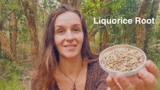 Benefits and Uses of Liquorice/Licorice Root