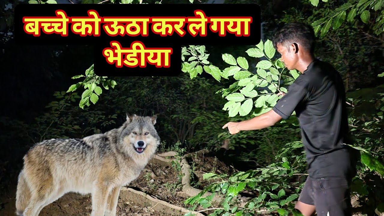 गांव में आया आधी रात को खुखार जानवर 