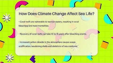 How Does Climate Change Affect Sea Life? - Ecosystem Essentials