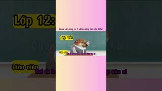 Quan sát cũng là 1 phần năng lực bản thân! #cheems #meme #viralvideos