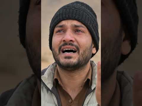 अल्लाह पर भरोसा रखनावालों का #shortsviral #facts #shortsfeed #love #islamicvideo