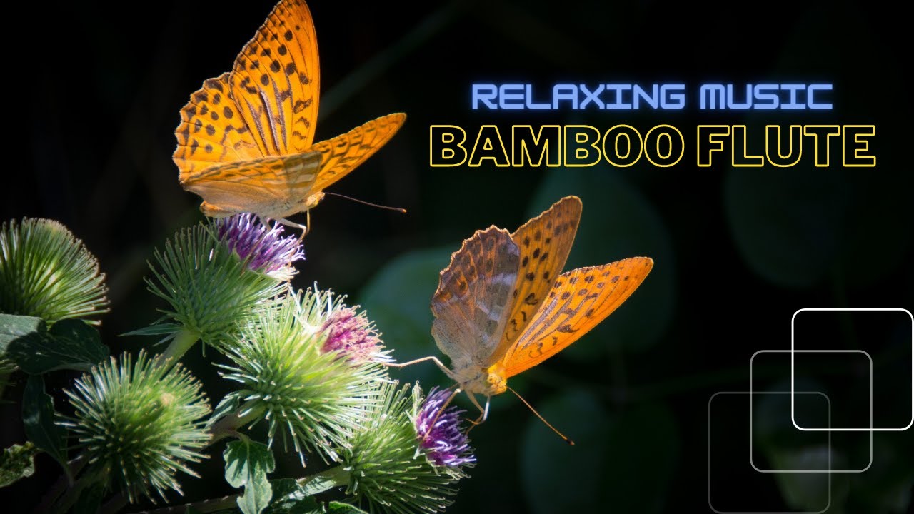 Relaxing Music Bamboo Flute Instrumental 2022 - YouTube