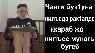 :  1 08.11.2024