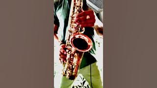 HISTORIA DE UN AMOR -LUIS MIGUEL (SAX cover by OppositeMus)