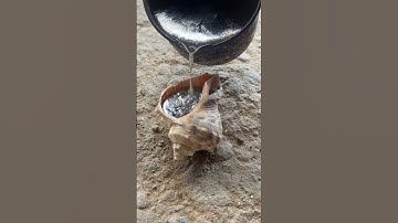 Molten Metal Meets Million-Year-Old Fossil: Ammonite Casting! #casting #ancientart #viralvideo