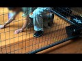 Petting Lion And Tiger Cubs At Malls And Fairs Is BAD Petting Lion And Tiger Cubs At Malls And Fairs Is BAD