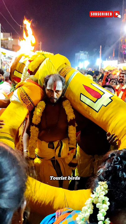 Karamadai Aranganathar Temple pandhasevai🔥❤️#shorts #trendingshorts #shortvideo #short #karamadai