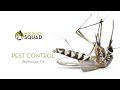 Brentwood Pest Control Company | Mosquito &amp; Tick Control Brentwood | Flea Exterminators Brentwood TN